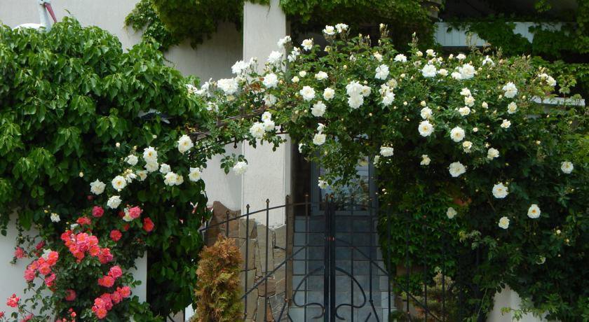 Гостевой дом Villa Rosa Севастополь